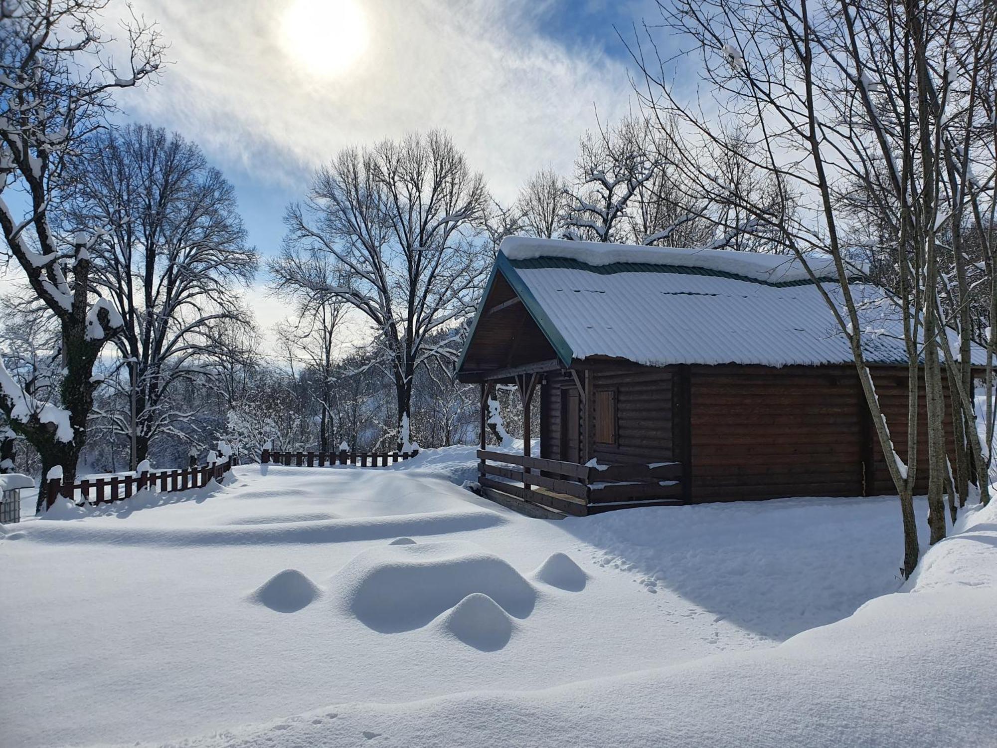 Cabin House Dubovik เซทินเจ ภายนอก รูปภาพ